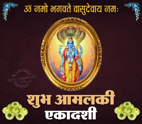 Shubh Amalaki Ekadasi Pic