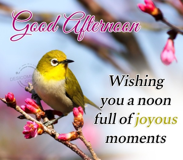 Wishing You A Noon Full