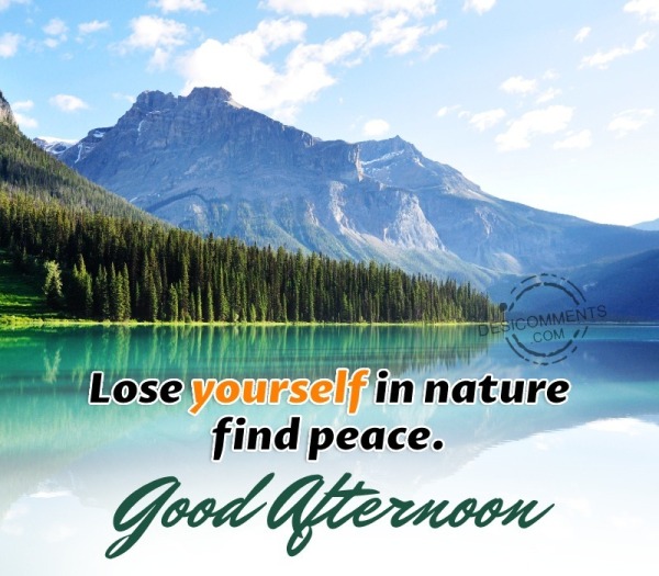 Lose Yourself In Nature