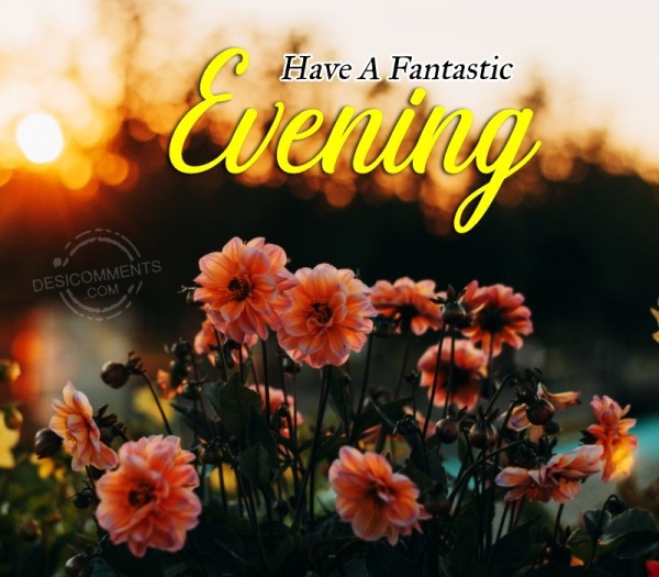 Have A Fantastic Evening