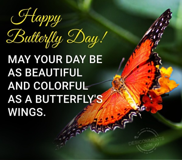 May Your Day Be As Beautiful And