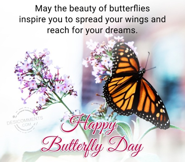 May The Beauty Of Butterflies Inspire