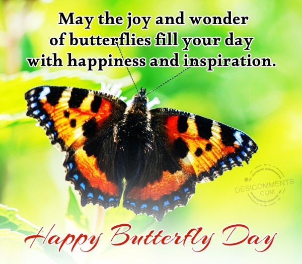 May The Joy And Wonder Of Butterflies