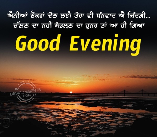 Punjabi Good Evening Status Image