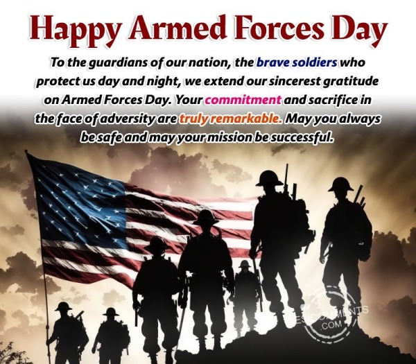 To The Guardians Of Our Nation, The Brave Soldiers