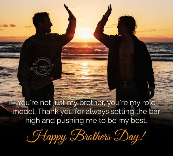 National Brother's Day Status, Happy Brothers Day Whatsapp Status