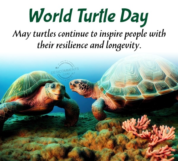 May Turtles Continue To Inspire