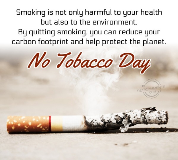 Smoking Is Not Only Harmful To Your Health