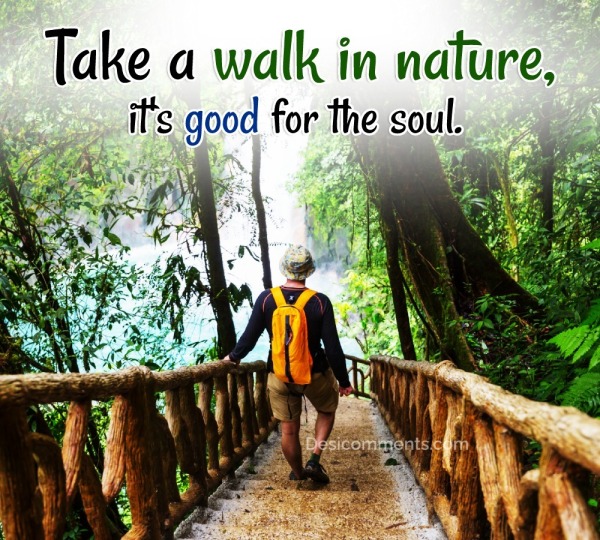 Take A Walk In Nature