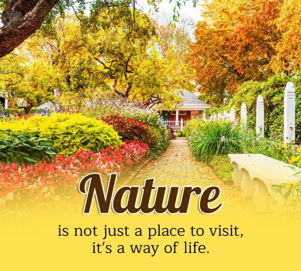 Nature Is Not Just A Place To