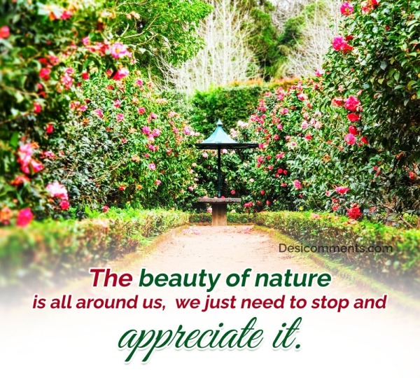 The Beauty Of Nature Is All