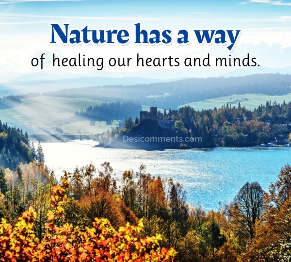 Nature Has A Way Of Healing