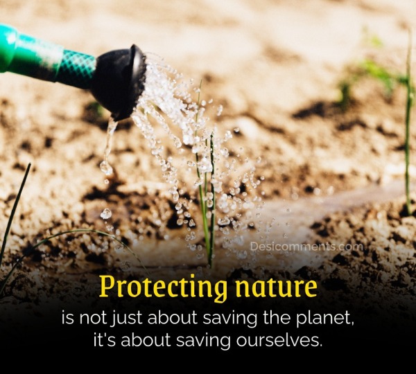 Protecting Nature Is Not Just About