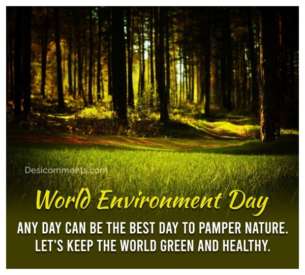 Happy World Environment Day Photo