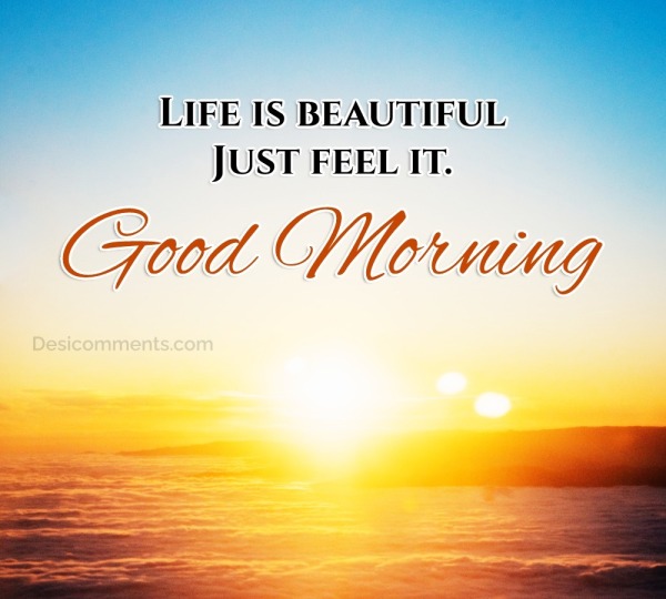 Good Morning Life Is Beautiful Just Feel It