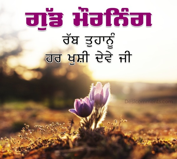 Fantastic Punjabi Good Morning Image