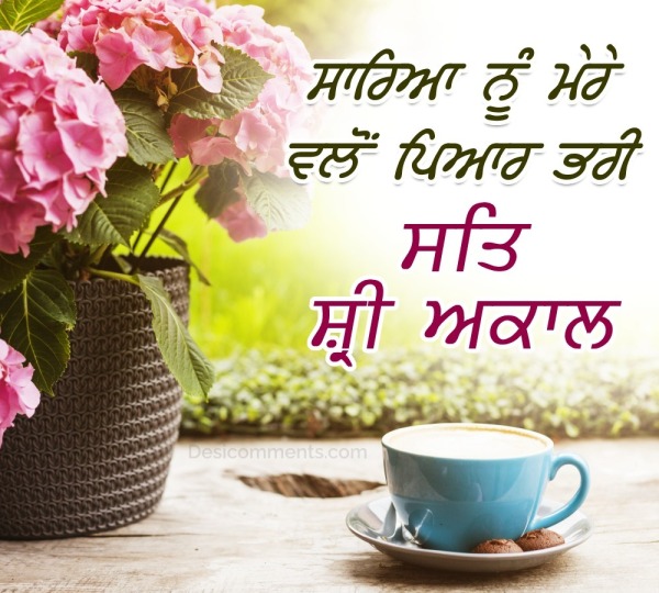 Flower Good Morning Punjabi Pic