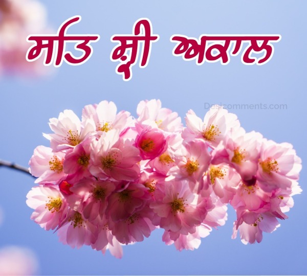 Flower Good Morning Punjabi Picture