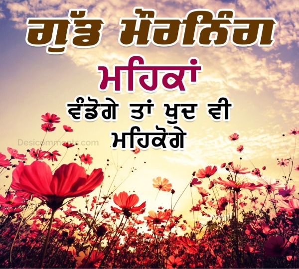 Good Morning Punjabi Flower Image