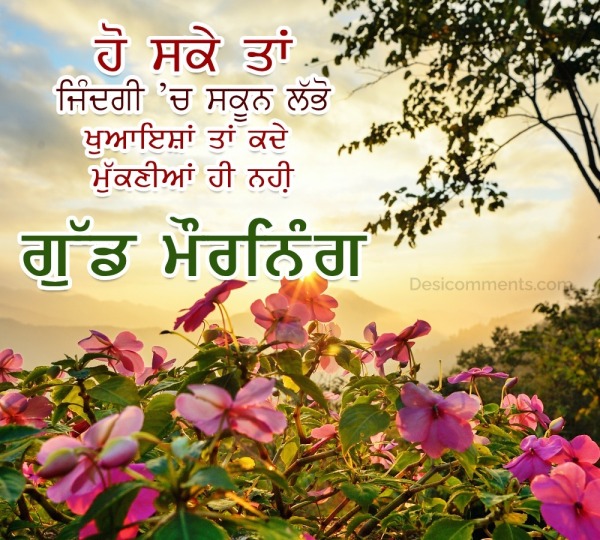 Good Morning Punjabi Flower Pic