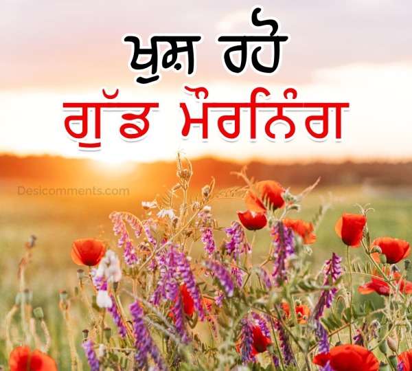Punjabi Good Morning Flower Photo