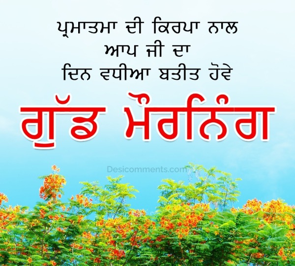 Punjabi Good Morning Flower Pic