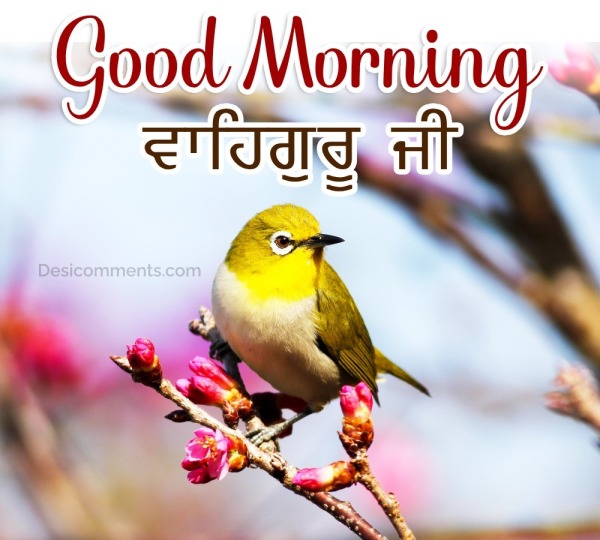 Good Morning Waheguru Ji