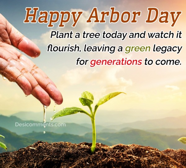 Plant A Tree Today And Watch