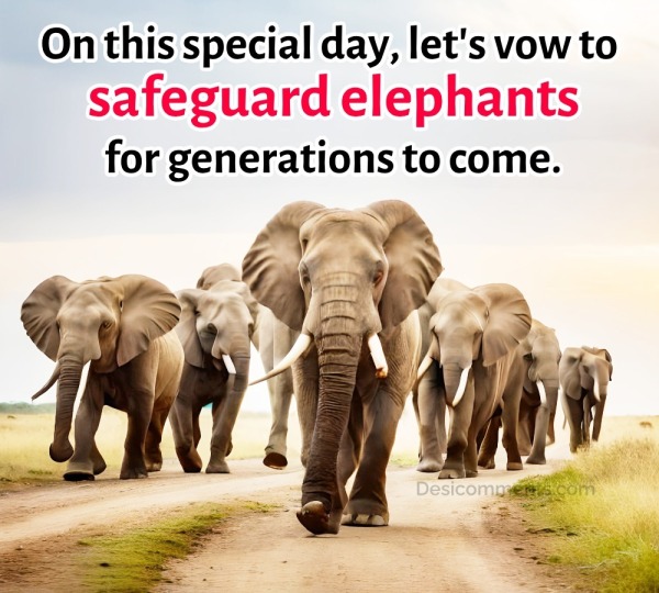 On This Special Day, Let's Vow to Safeguard Elephants