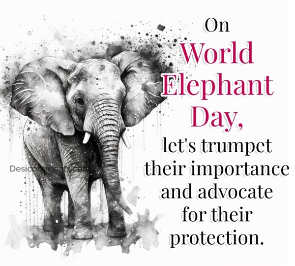 On World Elephant Day, Let's Trumpet Their Importance