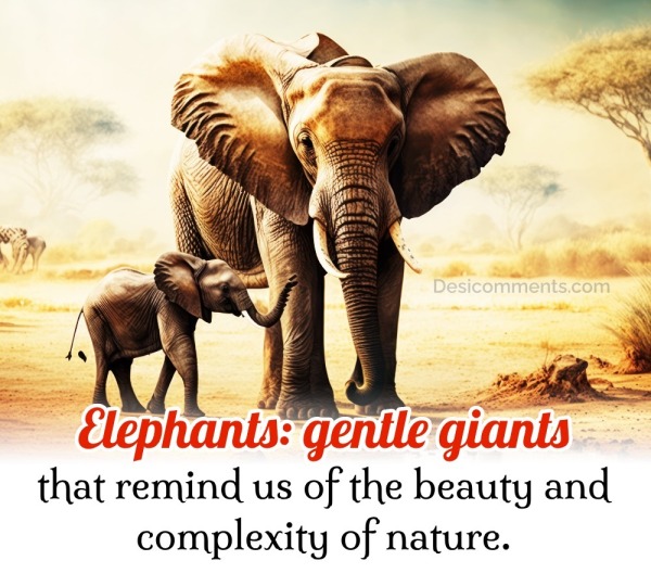 Elephants: Gentle Giants That Remind Us