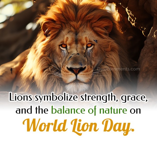 Lions Symbolize Strength, Grace