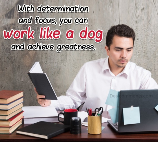 With Determination And Focus, You Can Work Like A Dog