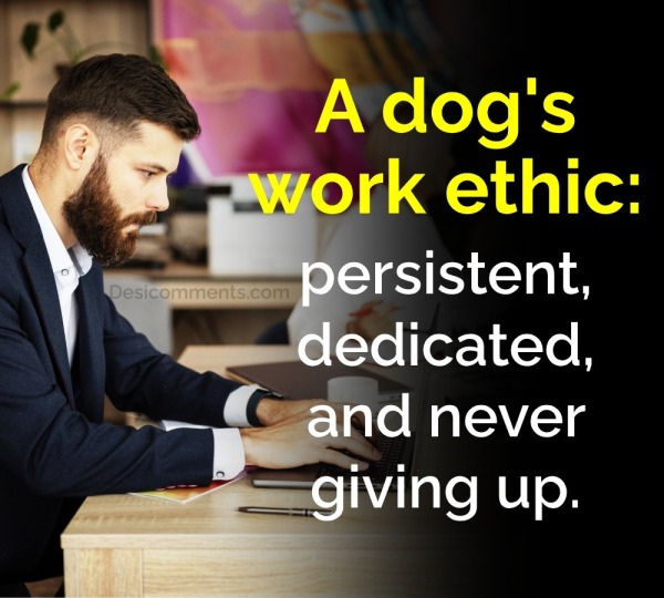 A Dog's Work Ethic: Persistent, Dedicated