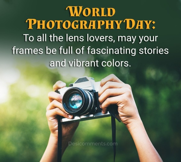 To All The Lens Lovers, May Your Frames