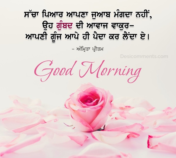 Good Morning Punjabi Status Photo