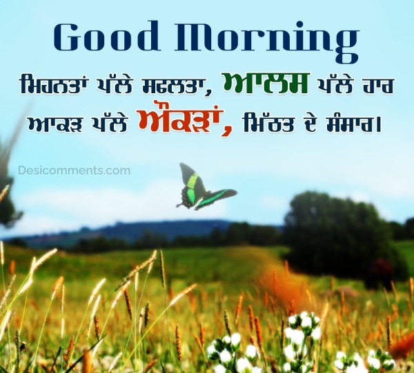 Best Good Morning Punjabi Pic