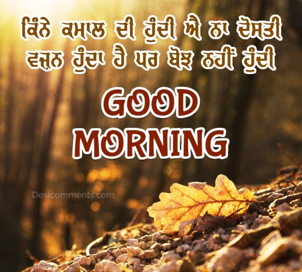 Good Morning Best Punjabi Picture