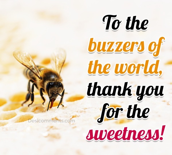 To The Buzzers Of The World