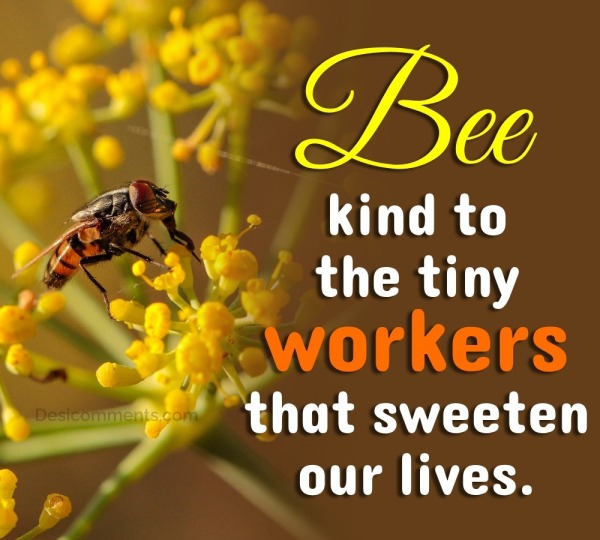 Bee Kind To The Tiny