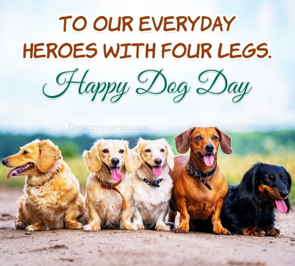 To Our Everyday Heroes