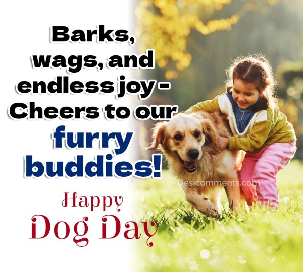 Barks, Wags, And Endless Joy