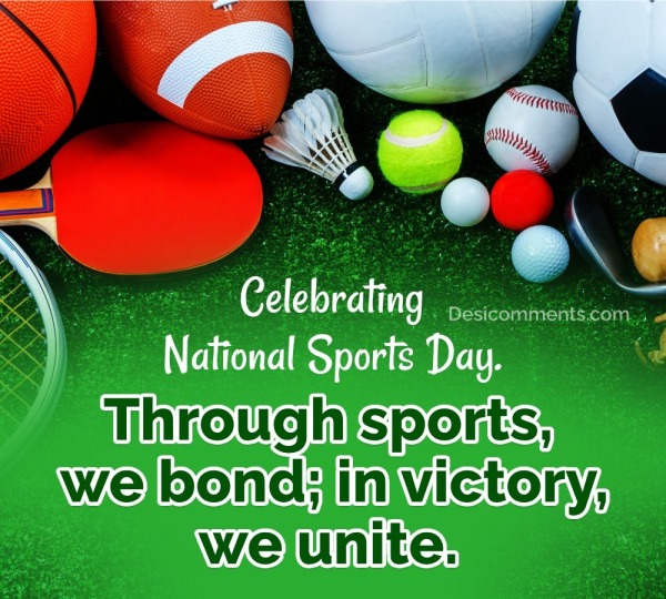 Celebrating Happy National Sports Day Picture