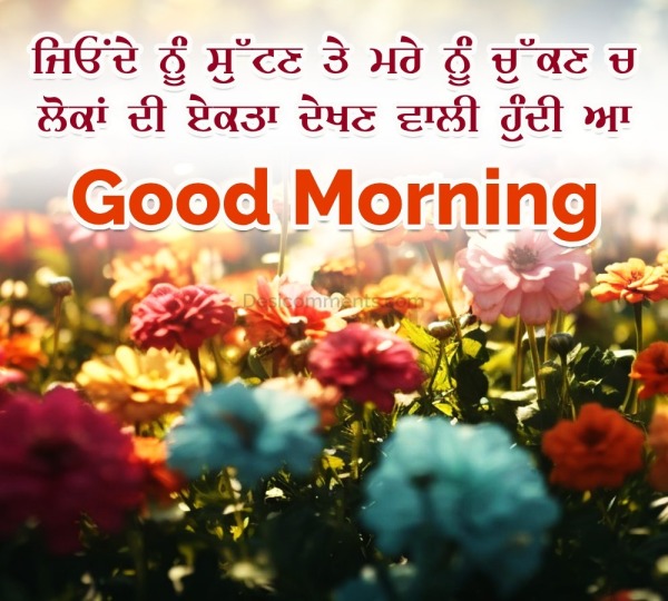 Good Morning Punjabi Status Picture
