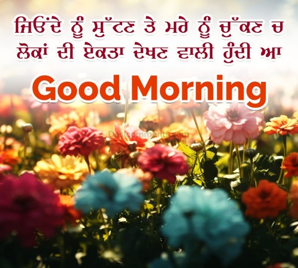 Good Morning Punjabi Status Pic