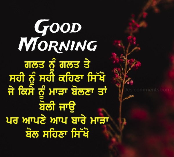 Beautiful Good Morning Punjabi Quote Pic