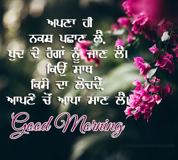 Beautiful Good Morning Punjabi Quote Picture