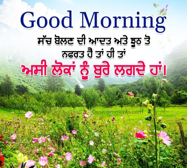 Beautiful Good Morning Punjabi Quote Photo