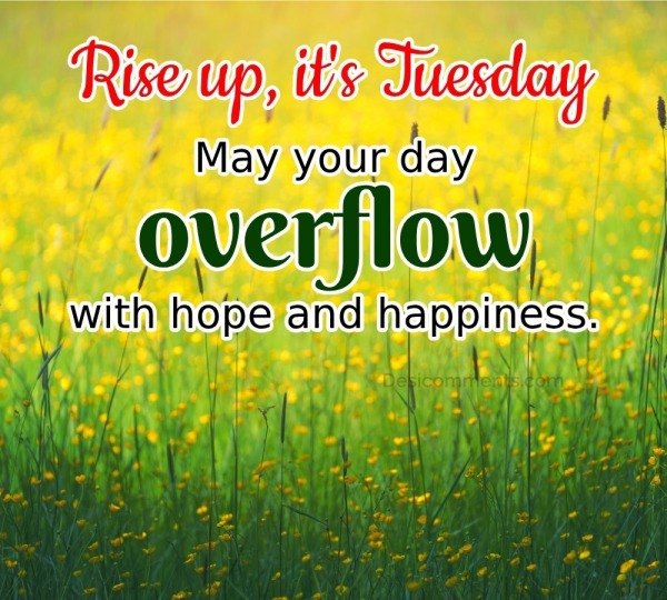 Rise Up, It's Tuesday! May You