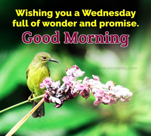 Wishing You A Wednesday